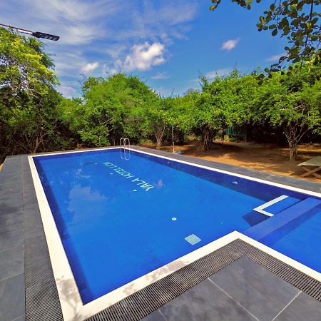 Yala Hotel Lion -Air Conditioned High Luxury Safari Camp Dış mekan fotoğraf