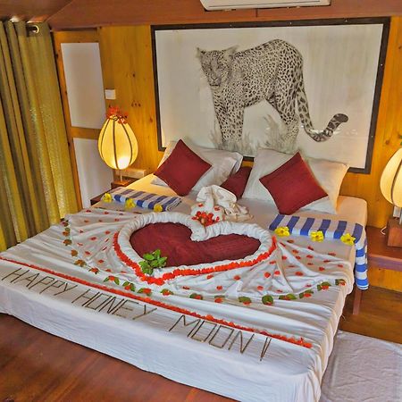 Yala Hotel Lion -Air Conditioned High Luxury Safari Camp Dış mekan fotoğraf