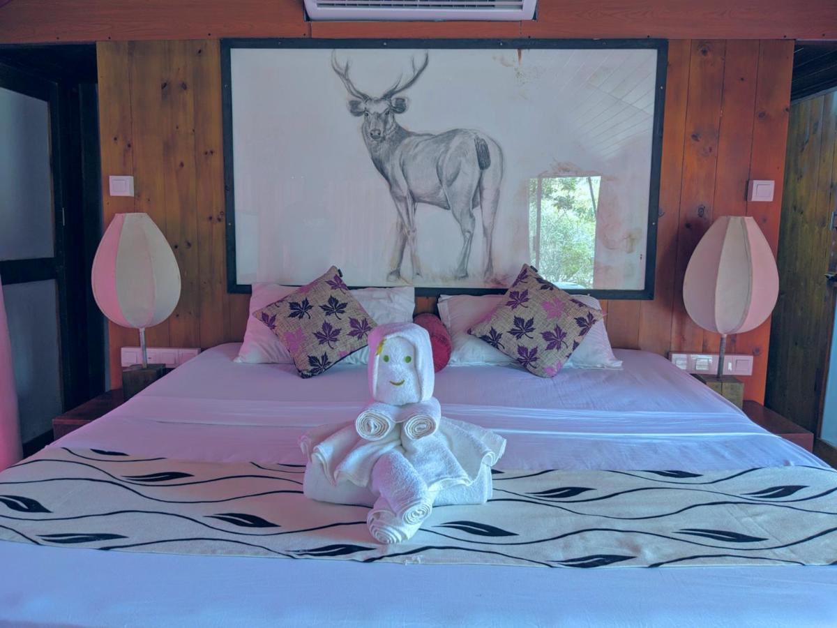 Yala Hotel Lion -Air Conditioned High Luxury Safari Camp Dış mekan fotoğraf