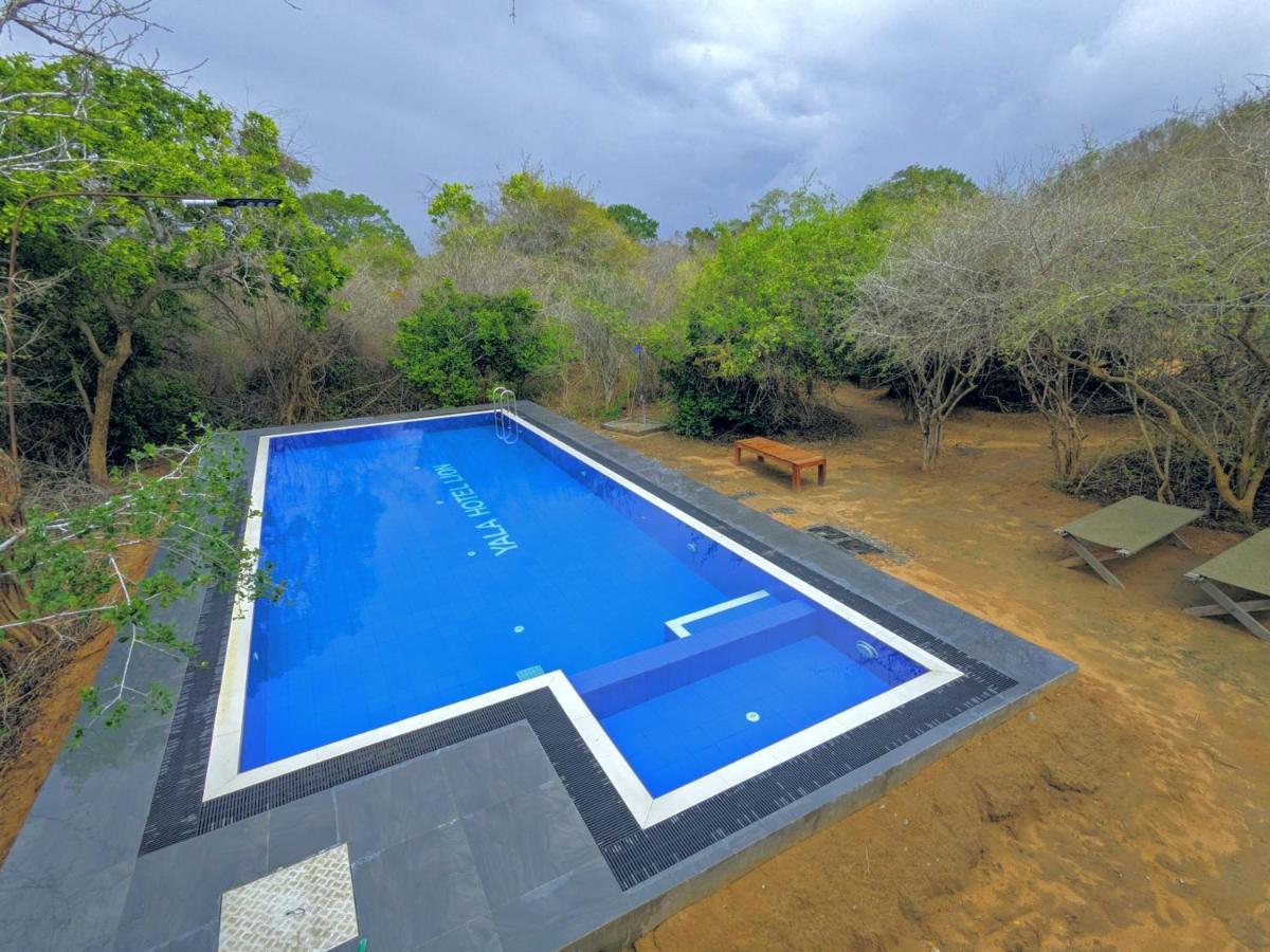 Yala Hotel Lion -Air Conditioned High Luxury Safari Camp Dış mekan fotoğraf