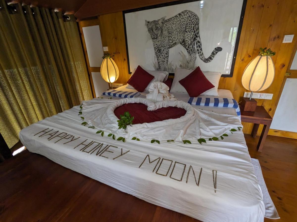 Yala Hotel Lion -Air Conditioned High Luxury Safari Camp Dış mekan fotoğraf