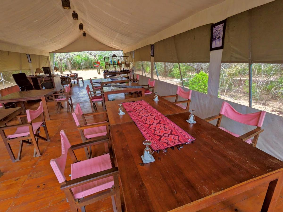 Yala Hotel Lion -Air Conditioned High Luxury Safari Camp Dış mekan fotoğraf