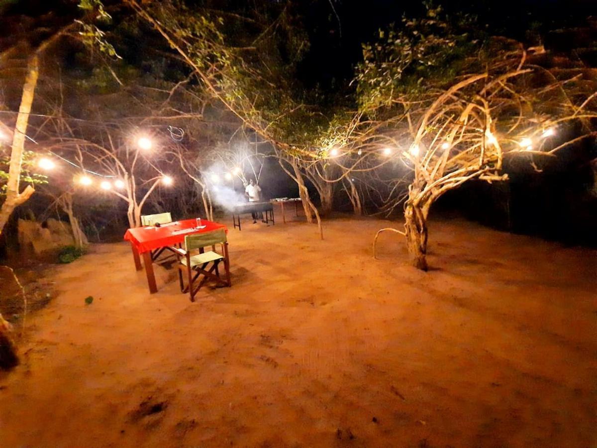 Yala Hotel Lion -Air Conditioned High Luxury Safari Camp Dış mekan fotoğraf