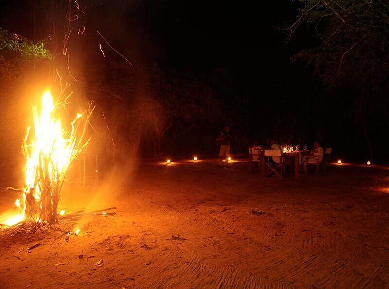 Yala Hotel Lion -Air Conditioned High Luxury Safari Camp Dış mekan fotoğraf