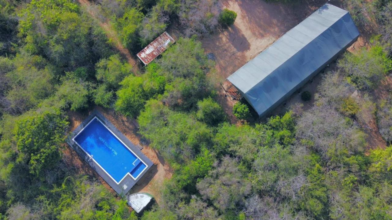Yala Hotel Lion -Air Conditioned High Luxury Safari Camp Dış mekan fotoğraf