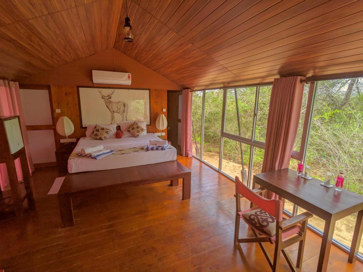 Yala Hotel Lion -Air Conditioned High Luxury Safari Camp Dış mekan fotoğraf