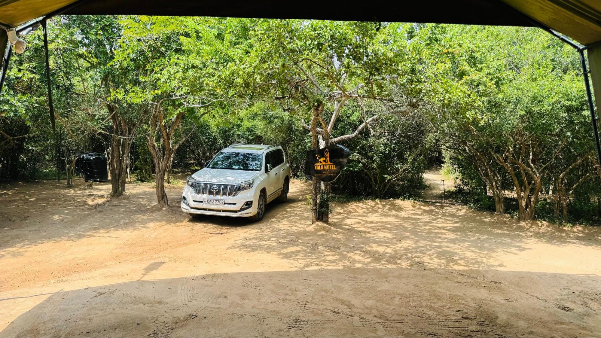 Yala Hotel Lion -Air Conditioned High Luxury Safari Camp Dış mekan fotoğraf