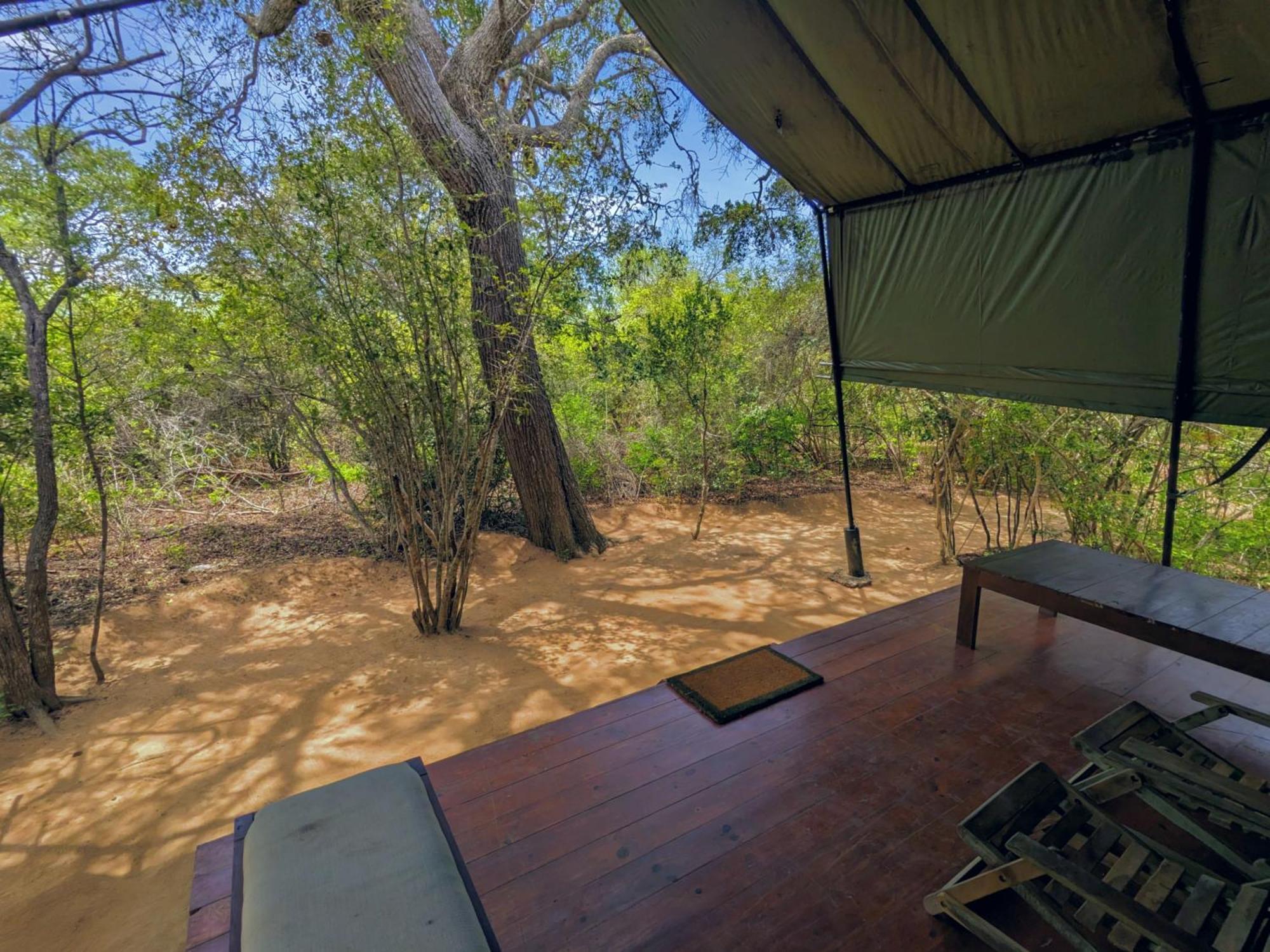 Yala Hotel Lion -Air Conditioned High Luxury Safari Camp Dış mekan fotoğraf