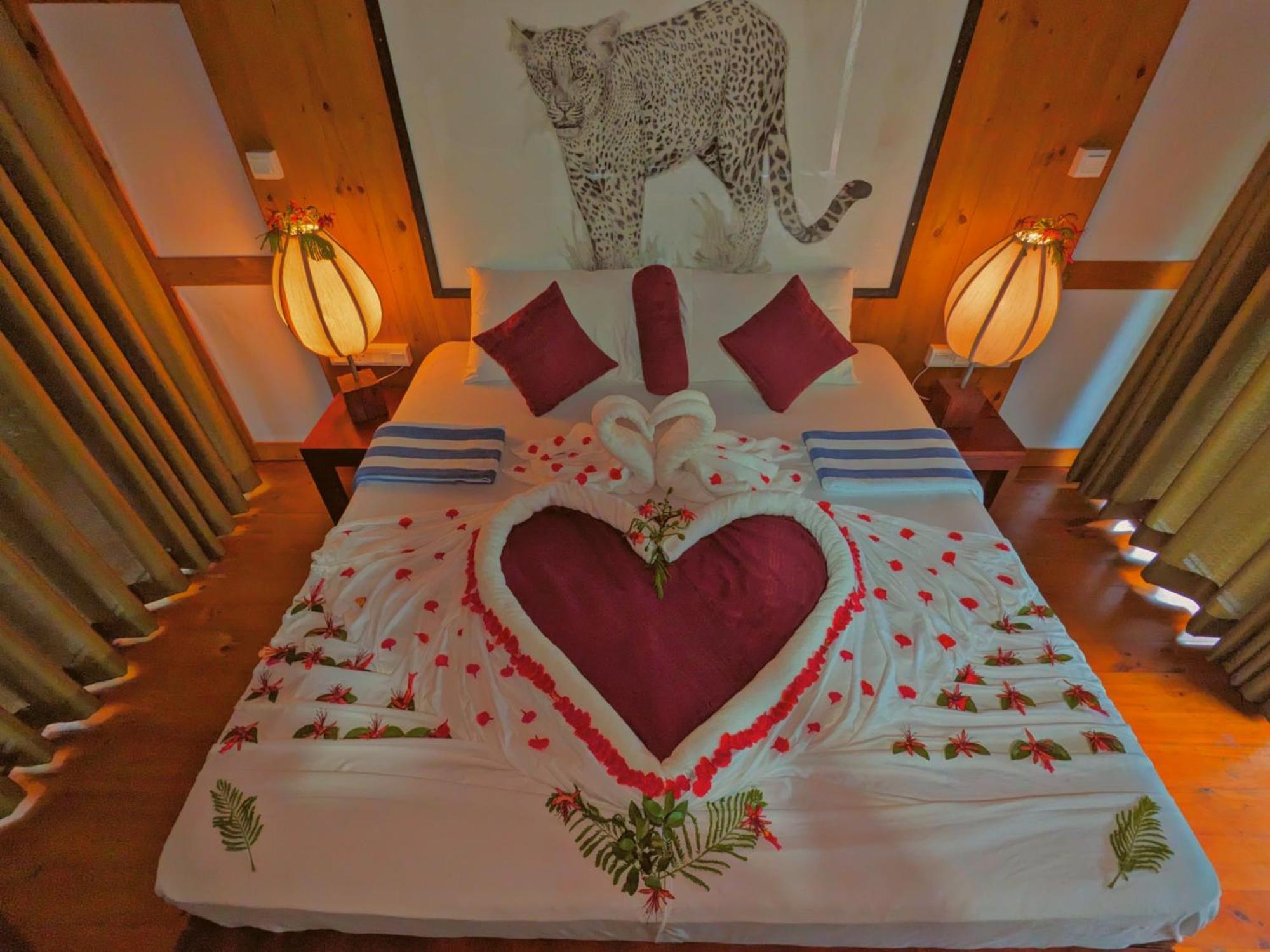 Yala Hotel Lion -Air Conditioned High Luxury Safari Camp Dış mekan fotoğraf