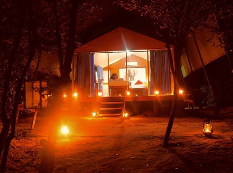 Yala Hotel Lion -Air Conditioned High Luxury Safari Camp Dış mekan fotoğraf
